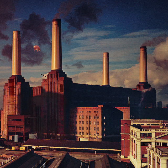 Pigs on the Wing 2