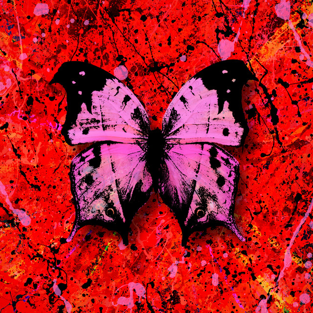 Shape of You